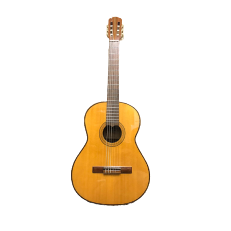 GUITARRA CLASICA GRACIA -USADA- F