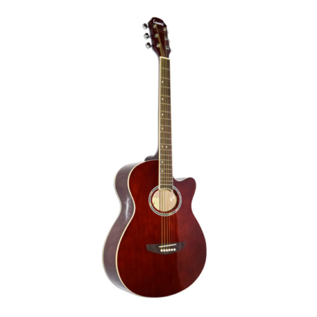 GUITARRA ACUSTICA LEONARD LA267WA