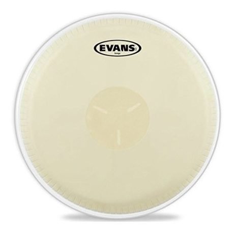 PARCHE DE BONGO EVANS