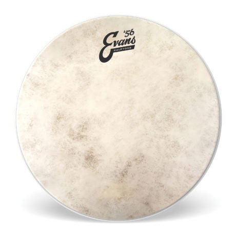 PARCHE EVANS CALFTONE CLEAR