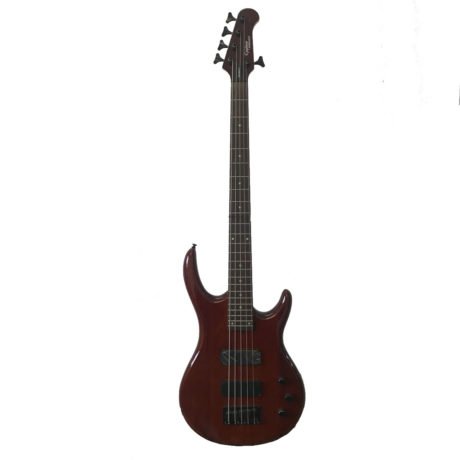 BAJO ELECTRICO EPIPHONE 5 CUERDAS EMBASSY STANDAR V