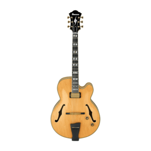 GUITARRA ELÉCTRICA IBANEZ PAT METHENY PM200