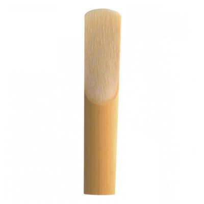 CAÑAS