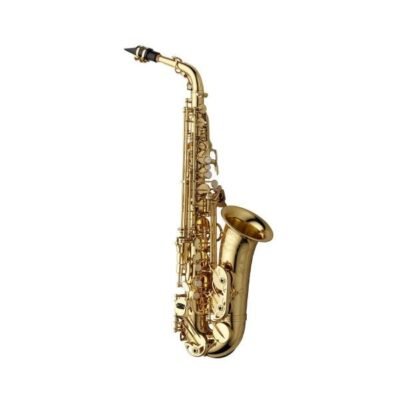 SAXO ALTO PALMER PARIS SERIES