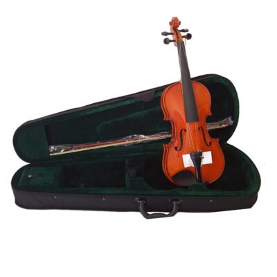 VIOLIN ACUSTICO STEINER CX-S141 4/4 E