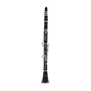 CLARINETE EN SI BEMOL STAGG WSCL210S