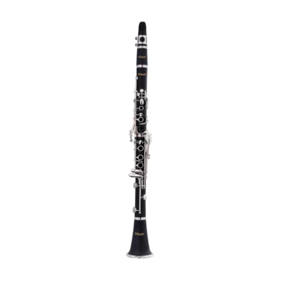 CLARINETE EN SI BEMOL STAGG WSCL210S