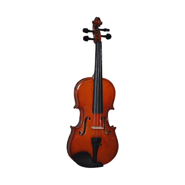 VIOLÍN ACÚSTICO PALATINO PV-4/4