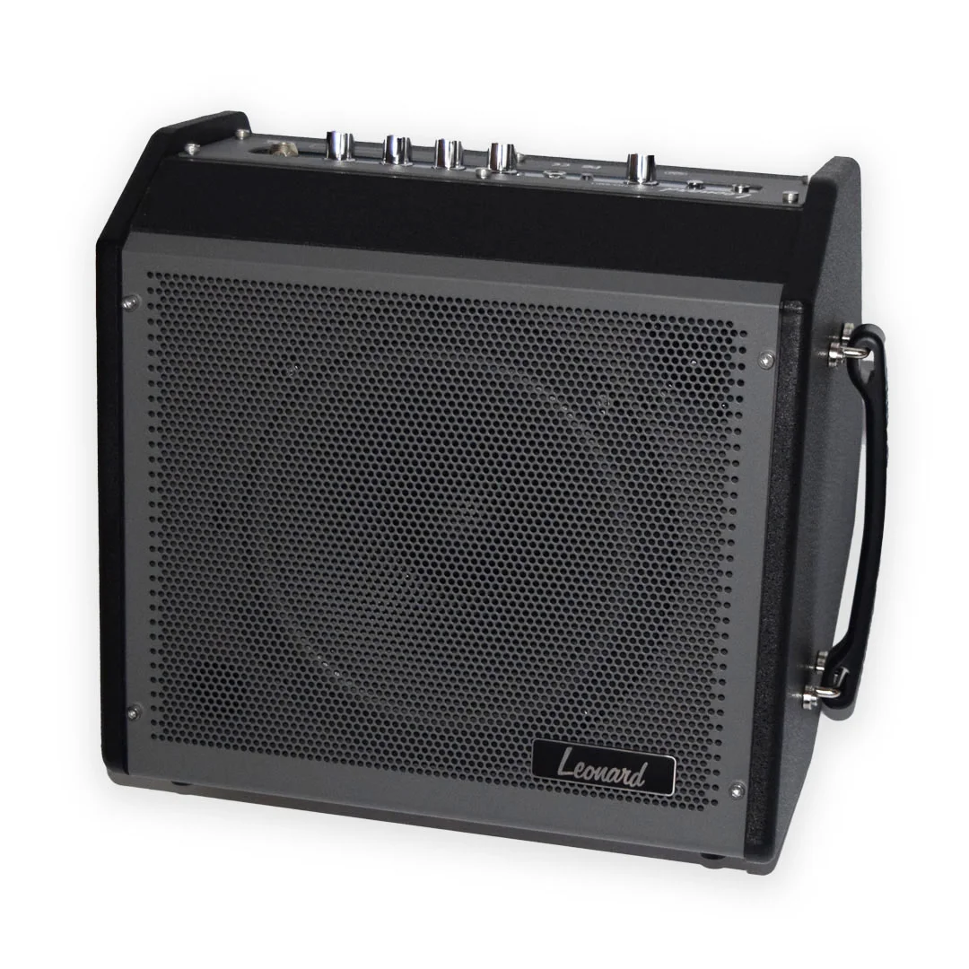 AMPLIFICADOR MULTIPROPÓSITO LEONARD 35LNDMP