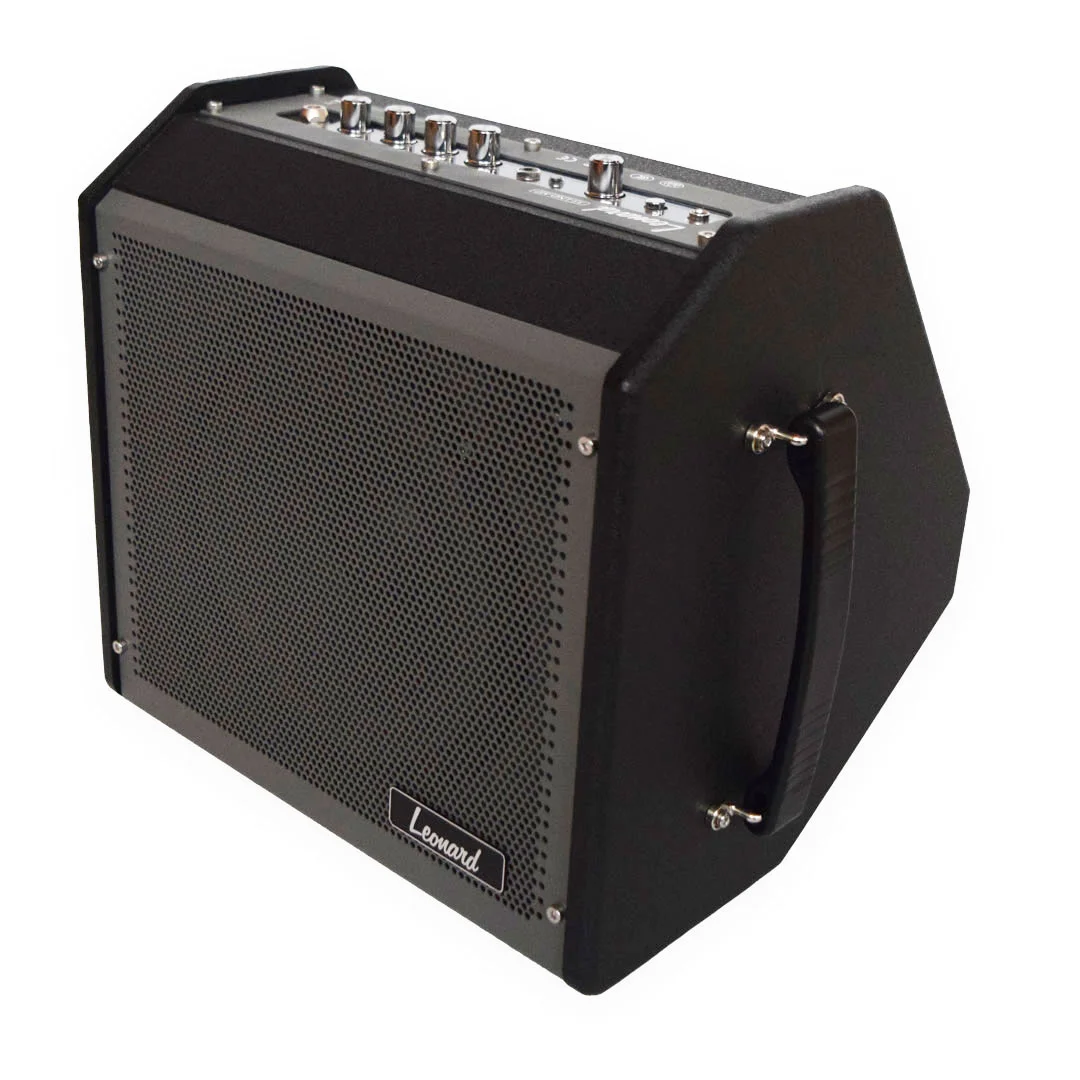 AMPLIFICADOR MULTIPROPÓSITO LEONARD 35LNDMP