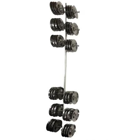 ZICUAYO LBP 72 SONAJAS