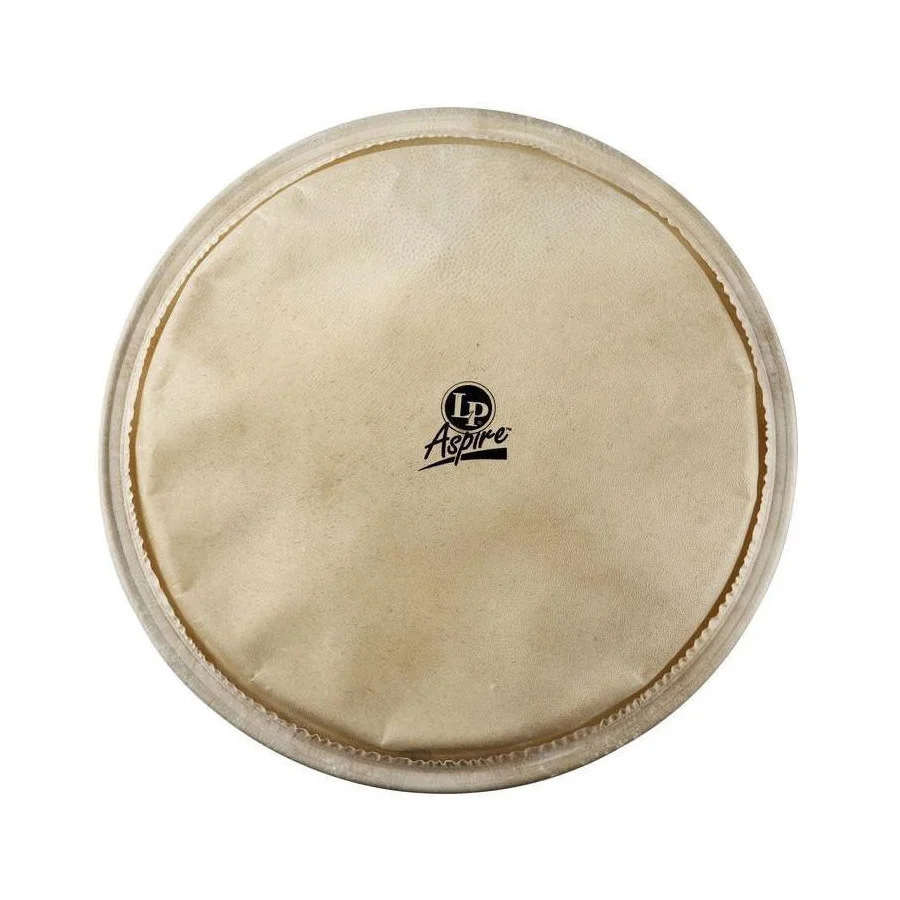 PARCHE DE DJEMBE LP 12 1/2