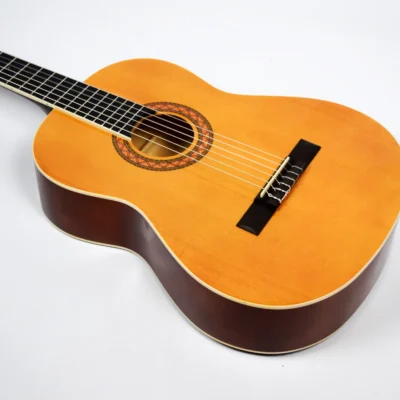 Guitarra clásica Leonard CG400N con alma